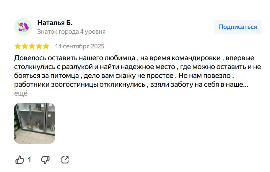 Отзыв на услугу