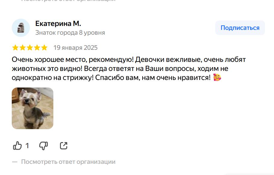 Отзыв на услугу