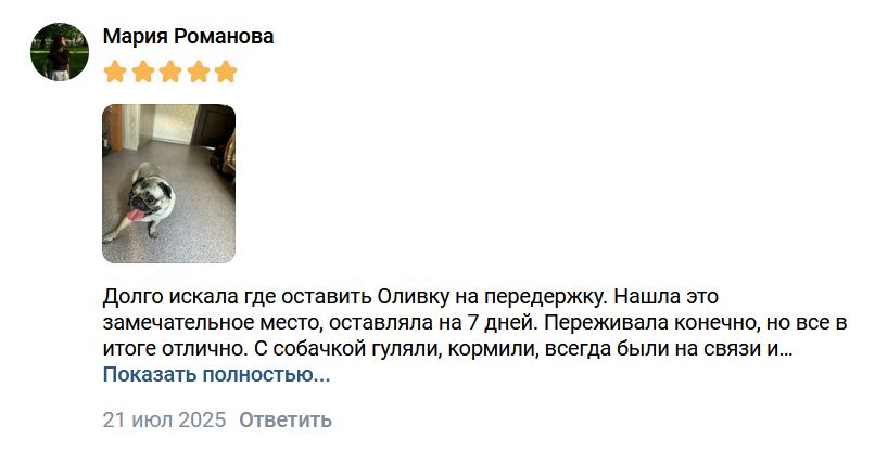 Отзыв на услугу